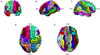 Biomarkers of Seizure Activity in Patients With Intracranial Metastases and Gliomas: A Wide Range Study of Correlated Regions of Interest